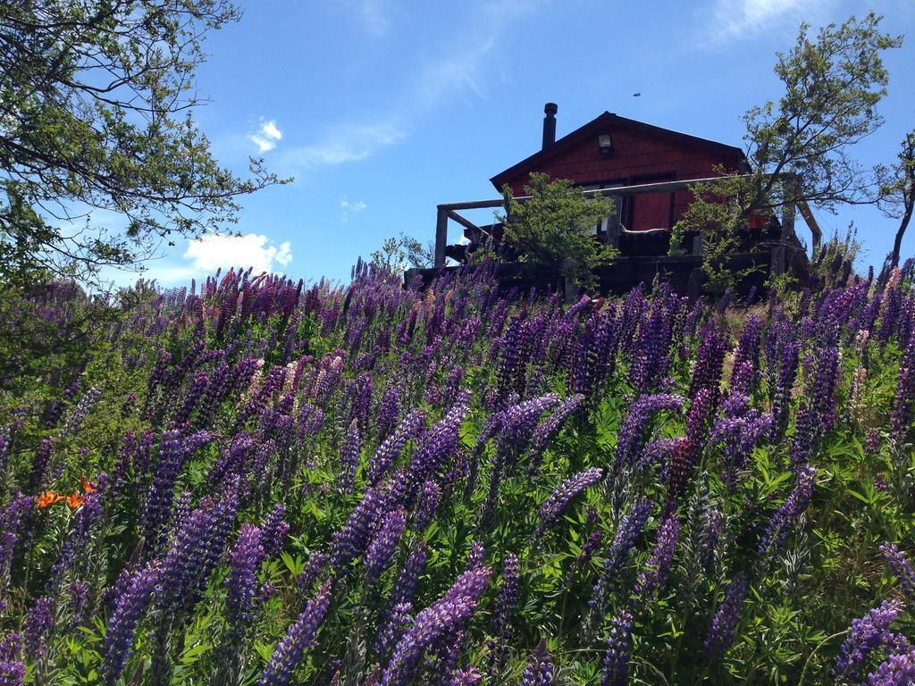 Cabanas Brellenthin Villa Cochrane Kültér fotó